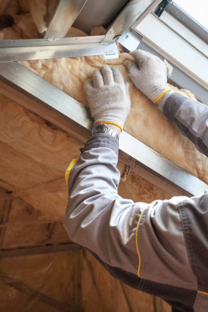 Best Blown-in Insulation  in Savannah, TX