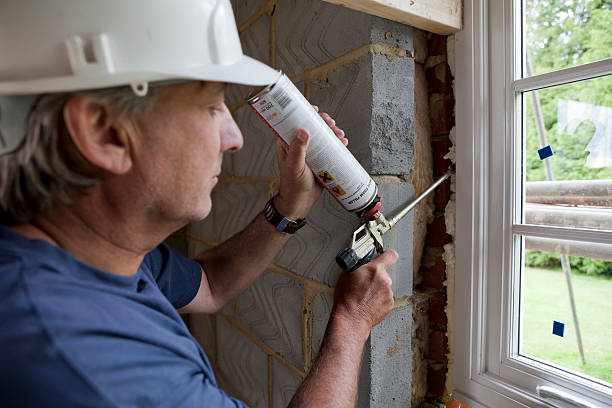 Best Energy-efficient Insulation  in Savannah, TX