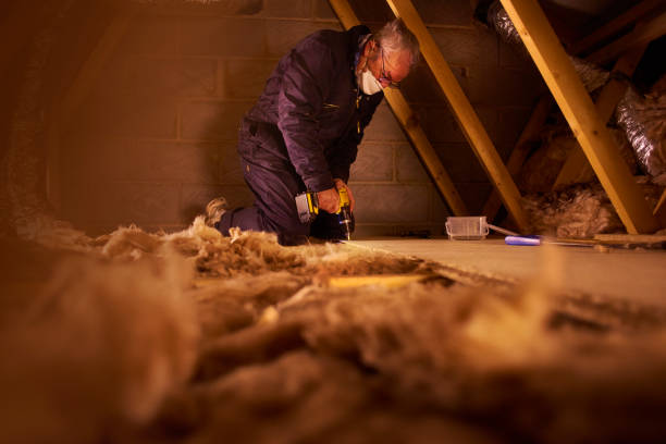 Best Crawl Space Insulation  in Savannah, TX