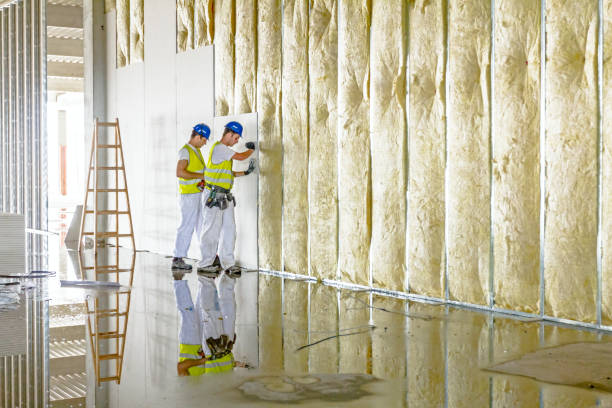 Best Insulation Repair Services  in Savannah, TX
